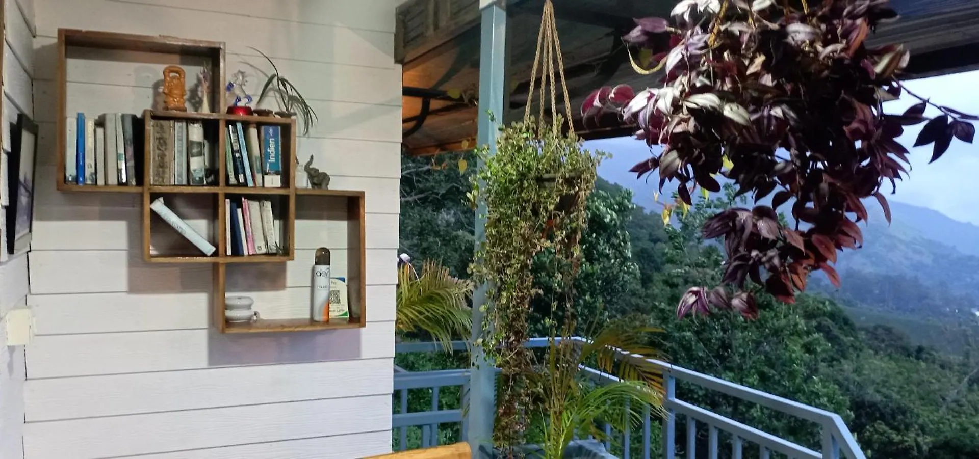 Winter Gardens Apartment Anachal