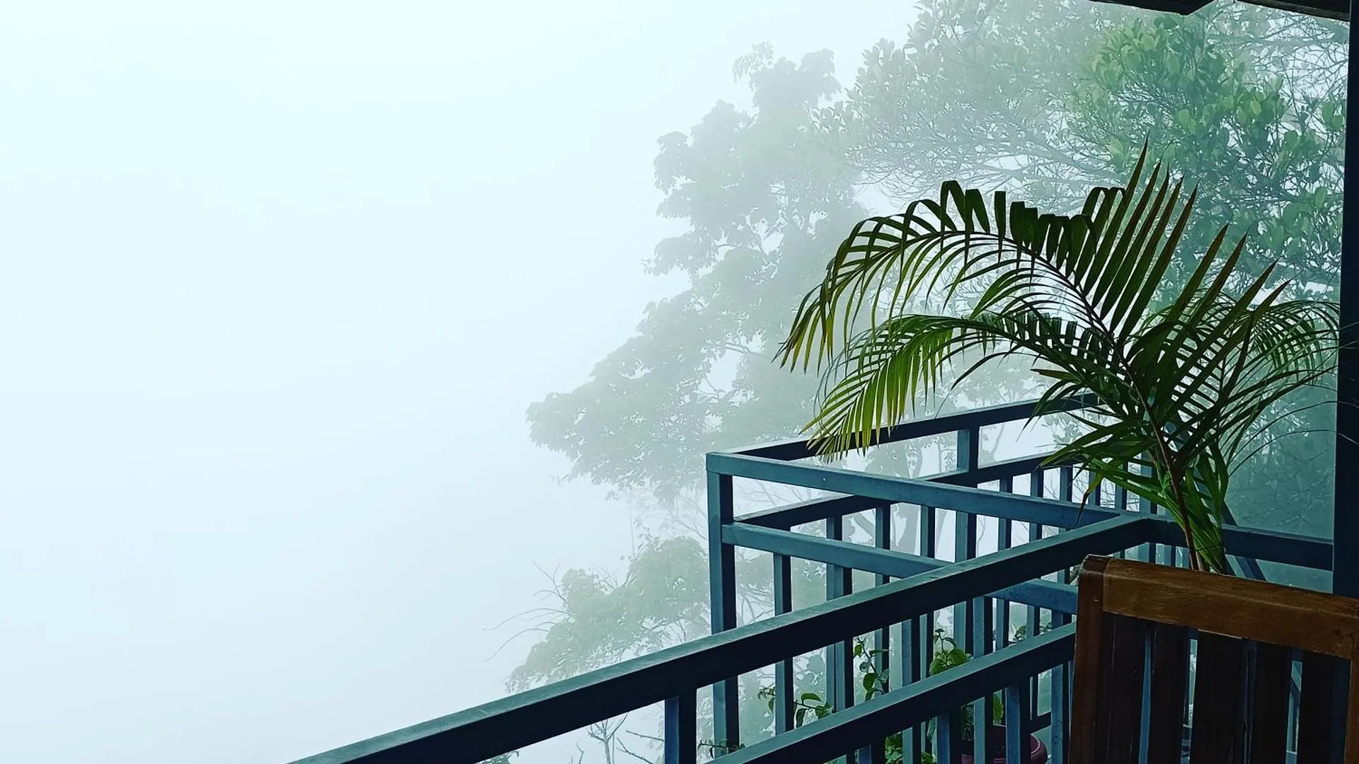 Winter Gardens Apartment Anachal India