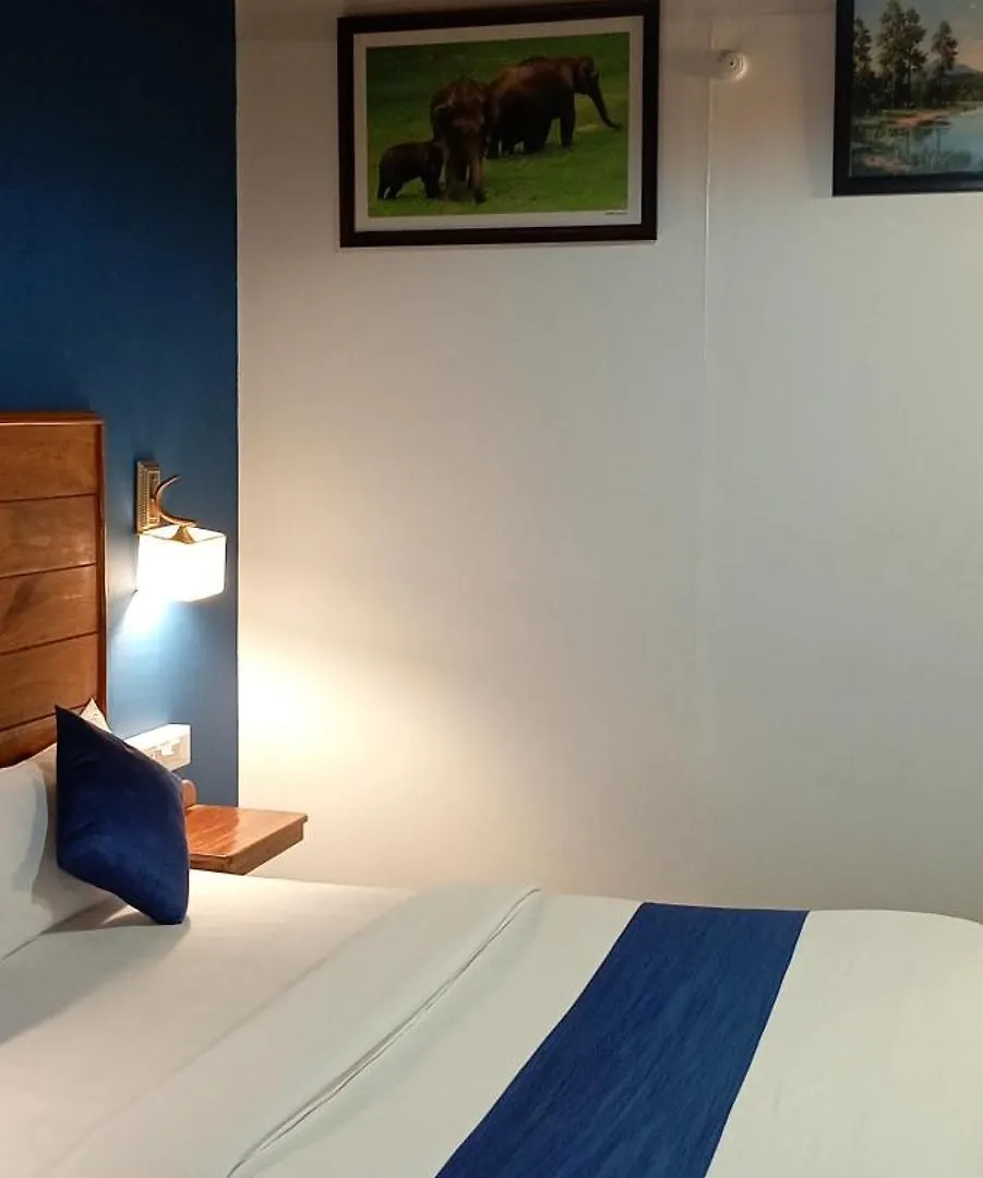 Homestay Winter Gardens Apartment Anachal